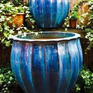 London Garden Centre and Florist: Battersea Flower Station SW London