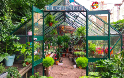 The Telegraph – London’s Best Garden Centres!