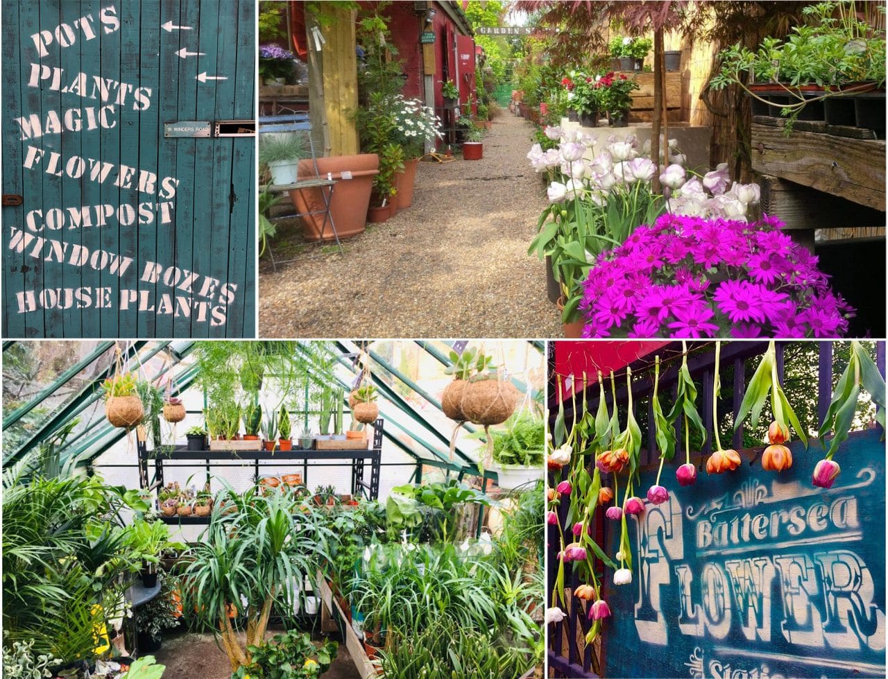 London Garden Centre & House Plant Shop in SW London